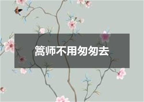 篙师不用匆匆去