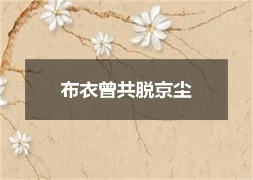 布衣曾共脱京尘