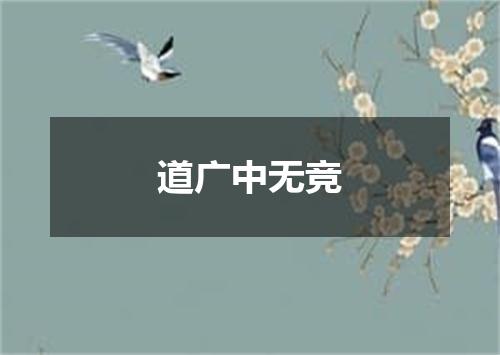 道广中无竞
