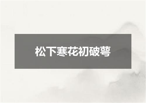 松下寒花初破萼