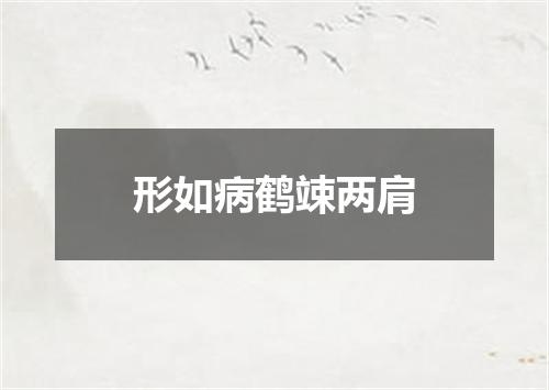 形如病鹤竦两肩