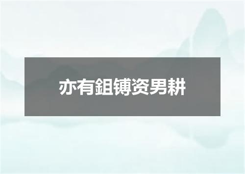 亦有鉏镈资男耕