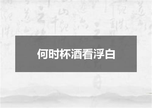 何时杯酒看浮白
