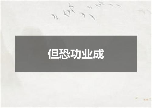 但恐功业成