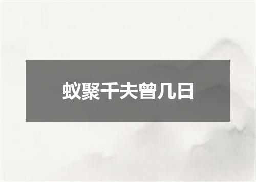 蚁聚千夫曾几日