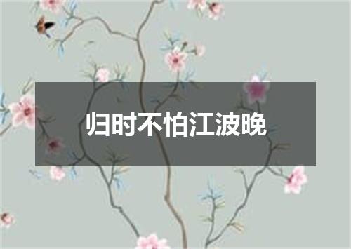 归时不怕江波晚