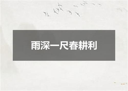 雨深一尺春耕利