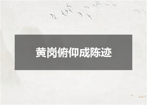 黄岗俯仰成陈迹