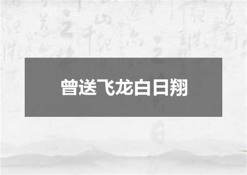 曾送飞龙白日翔