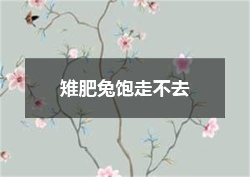 雉肥兔饱走不去