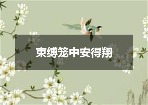 束缚笼中安得翔