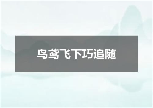 鸟鸢飞下巧追随