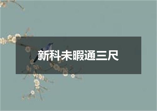 新科未暇通三尺