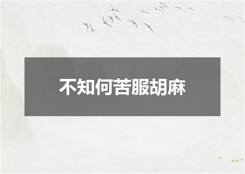 不知何苦服胡麻