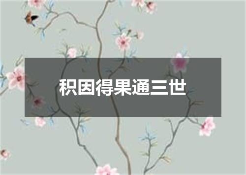 积因得果通三世
