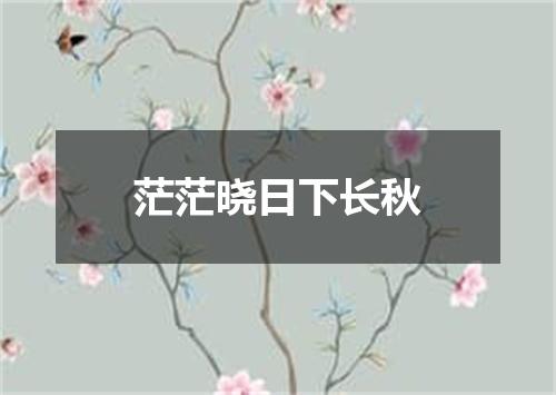 茫茫晓日下长秋