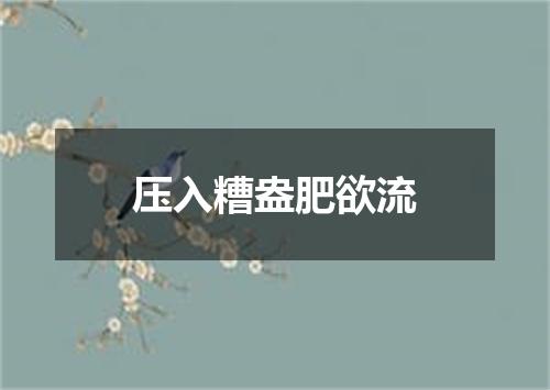 压入糟盎肥欲流