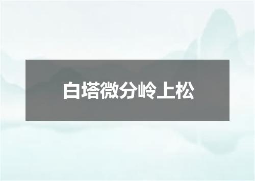 白塔微分岭上松