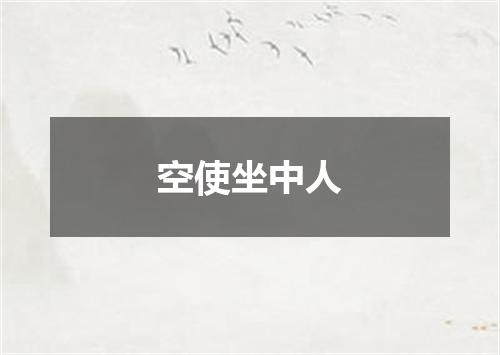 空使坐中人