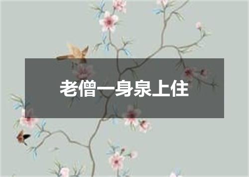 老僧一身泉上住