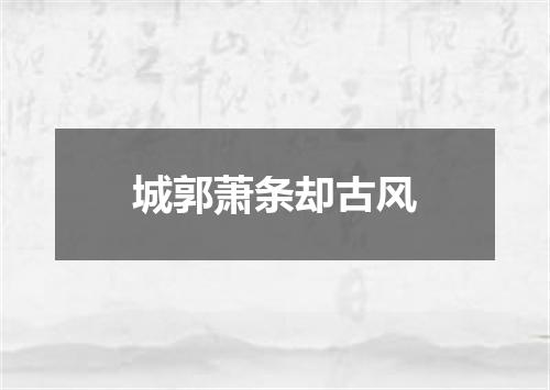 城郭萧条却古风