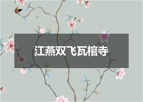 江燕双飞瓦棺寺