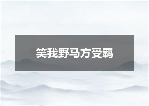 笑我野马方受羁