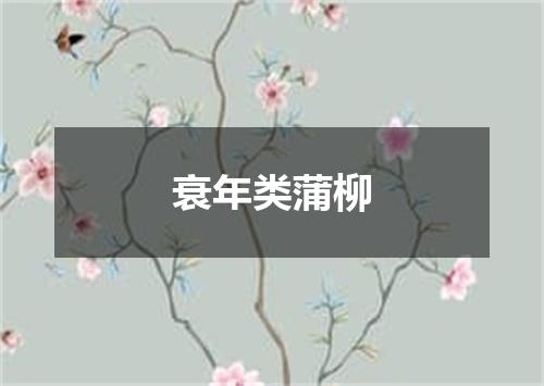 衰年类蒲柳