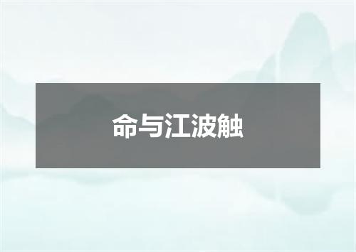 命与江波触