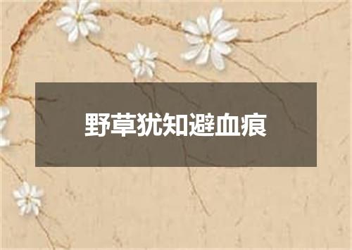 野草犹知避血痕