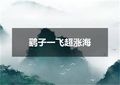 鹞子一飞超涨海