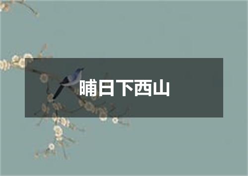 晡日下西山