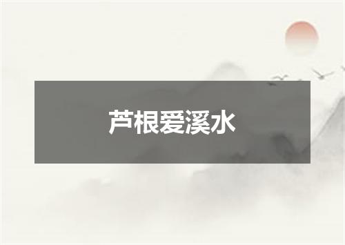 芦根爱溪水