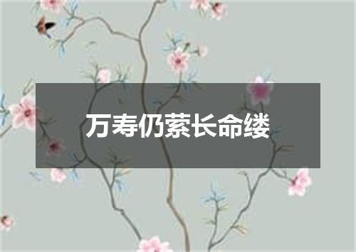 万寿仍萦长命缕