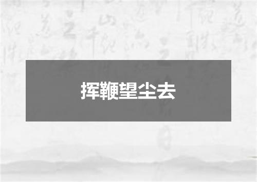 挥鞭望尘去