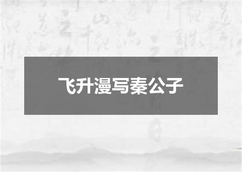 飞升漫写秦公子