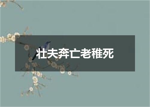 壮夫奔亡老稚死