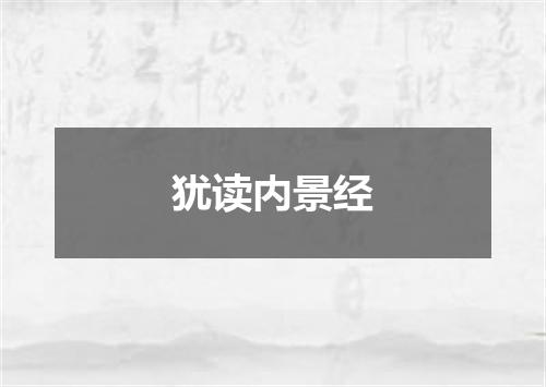 犹读内景经
