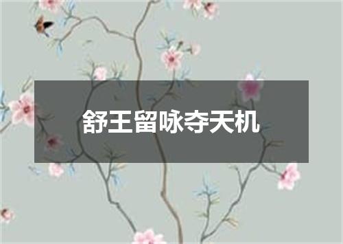 舒王留咏夺天机