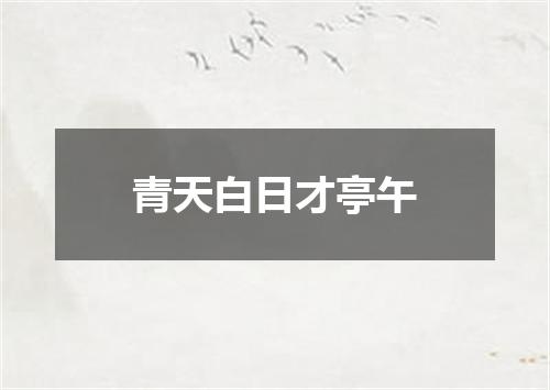 青天白日才亭午