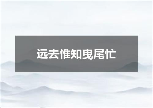 远去惟知曳尾忙