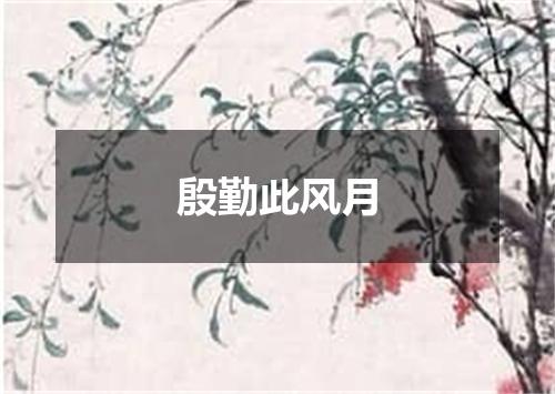 殷勤此风月