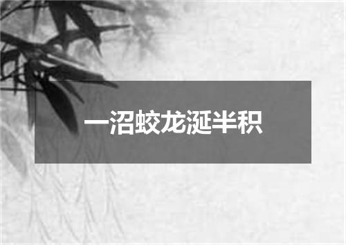 一沼蛟龙涎半积
