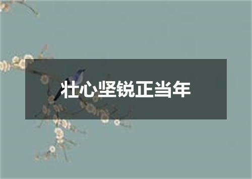 壮心坚锐正当年