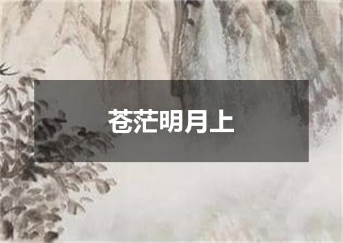 苍茫明月上