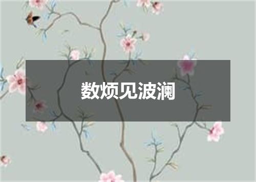 数烦见波澜