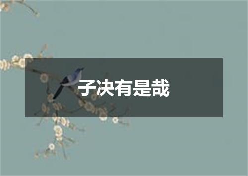 子决有是哉