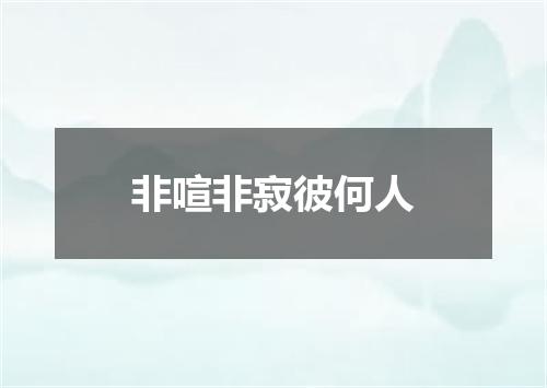 非喧非寂彼何人