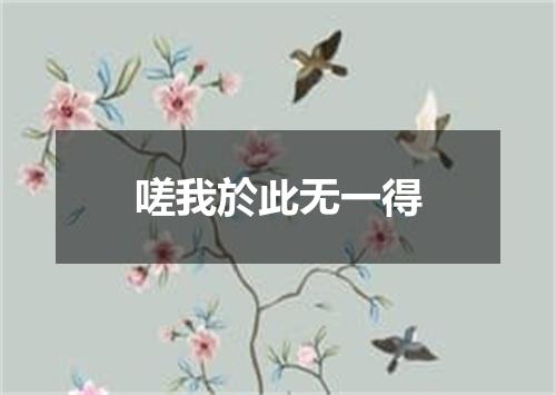嗟我於此无一得