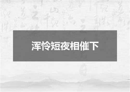 浑怜短夜相催下